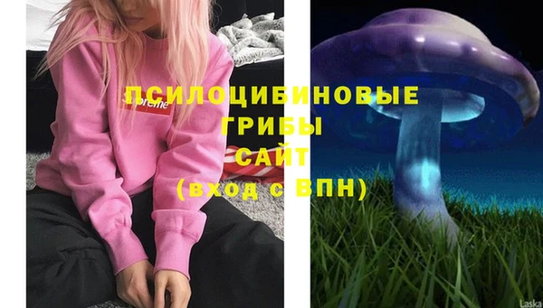 бошки Майский