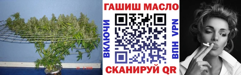 ТГК гашишное масло  ссылка на мегу как войти  Новокузнецк 