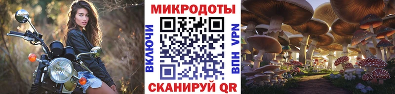 Галлюциногенные грибы Cubensis  это клад  Новокузнецк  KRAKEN зеркало 